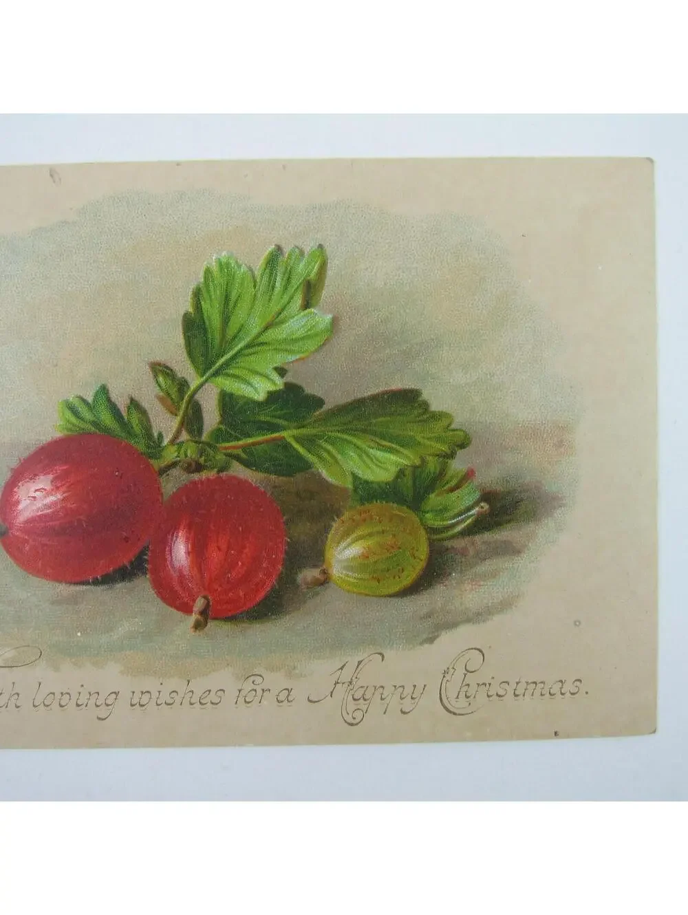Victorian Christmas Card Red & Green Gooseberry Fruit Bunch Leaves Antique RARE